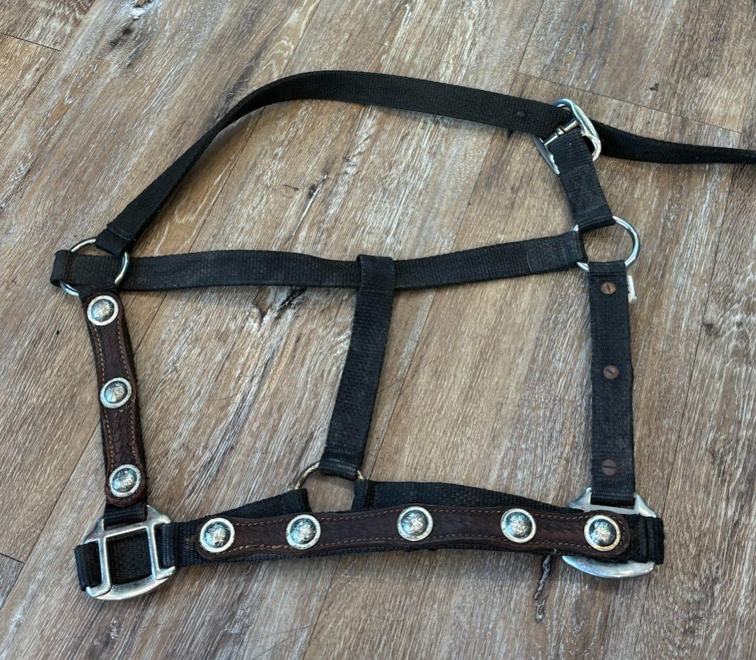 black Leather and nylon halter