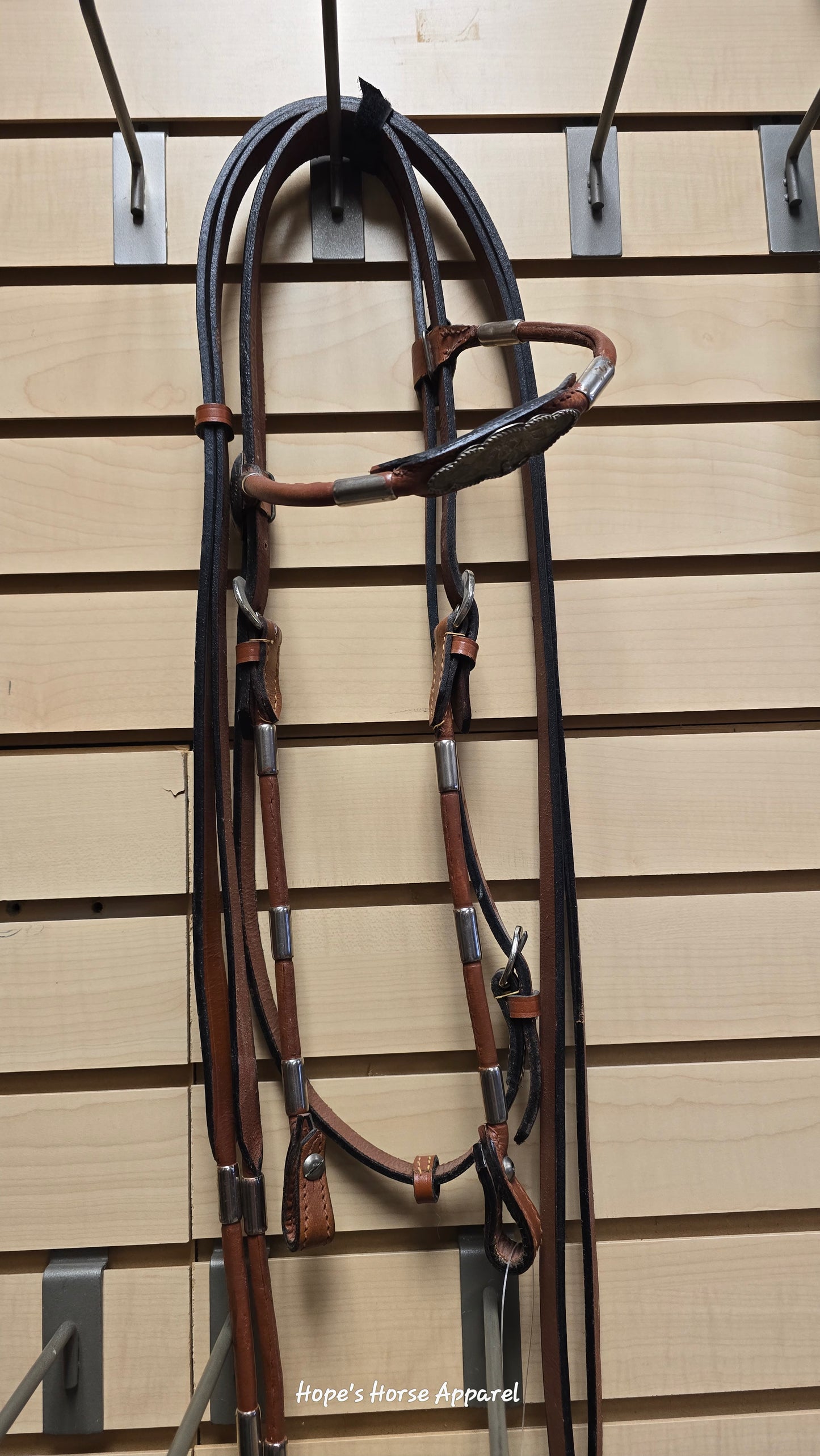 New Headstall with Reins