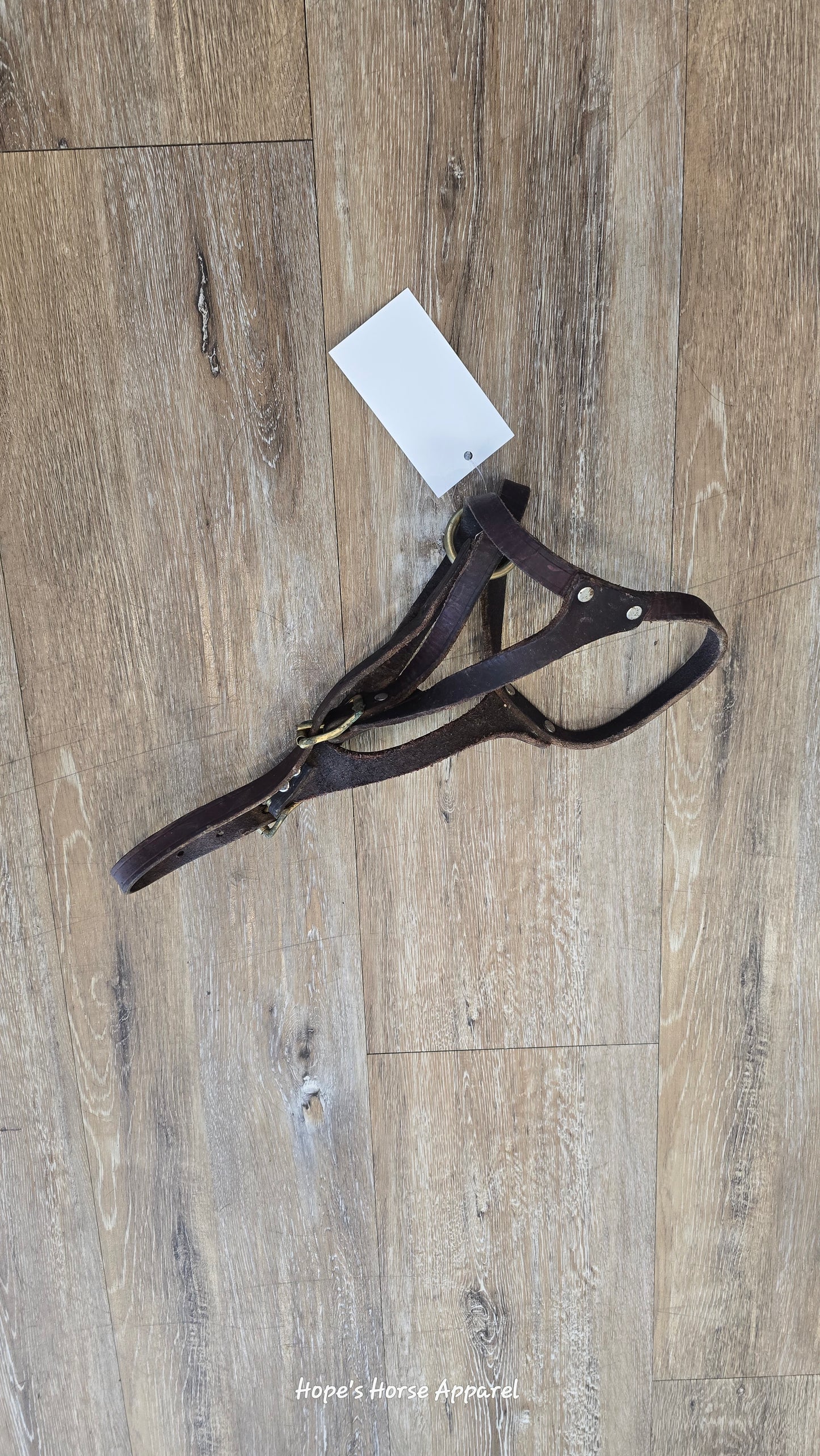 Leather Foal Halter