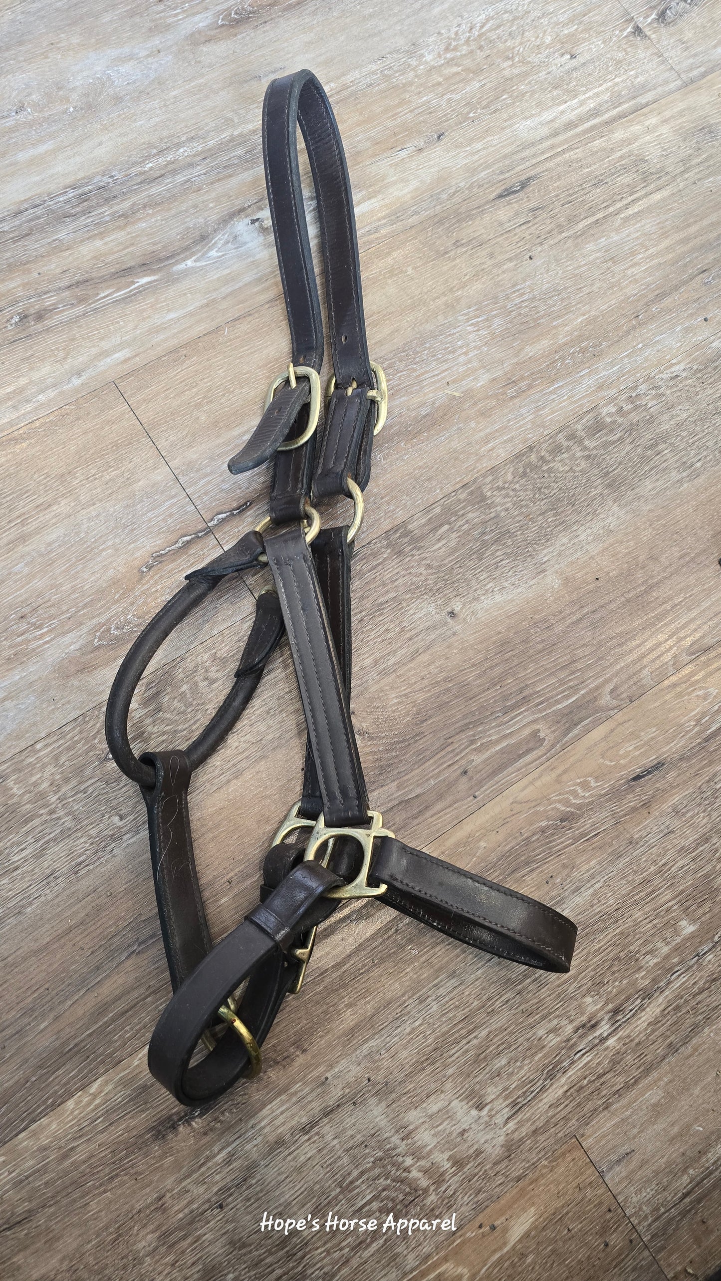 Leather Halter