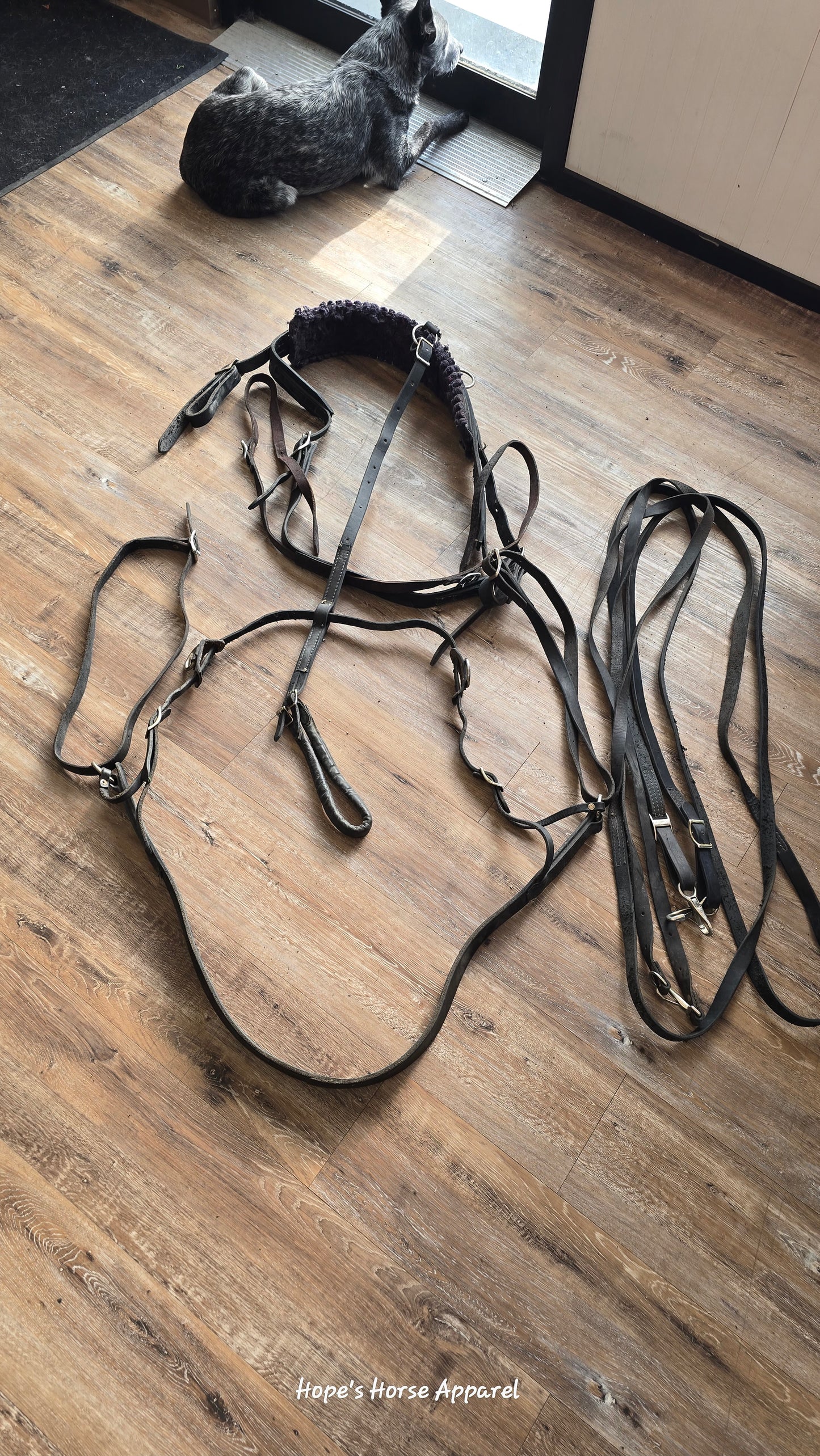 Light Horse Harness