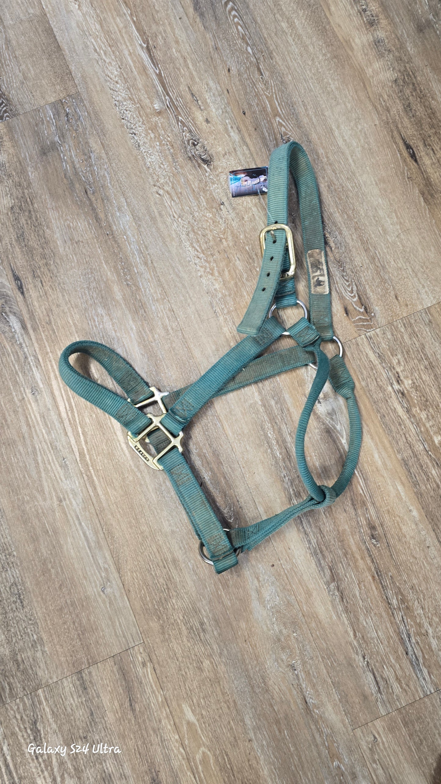 Nylon Halter