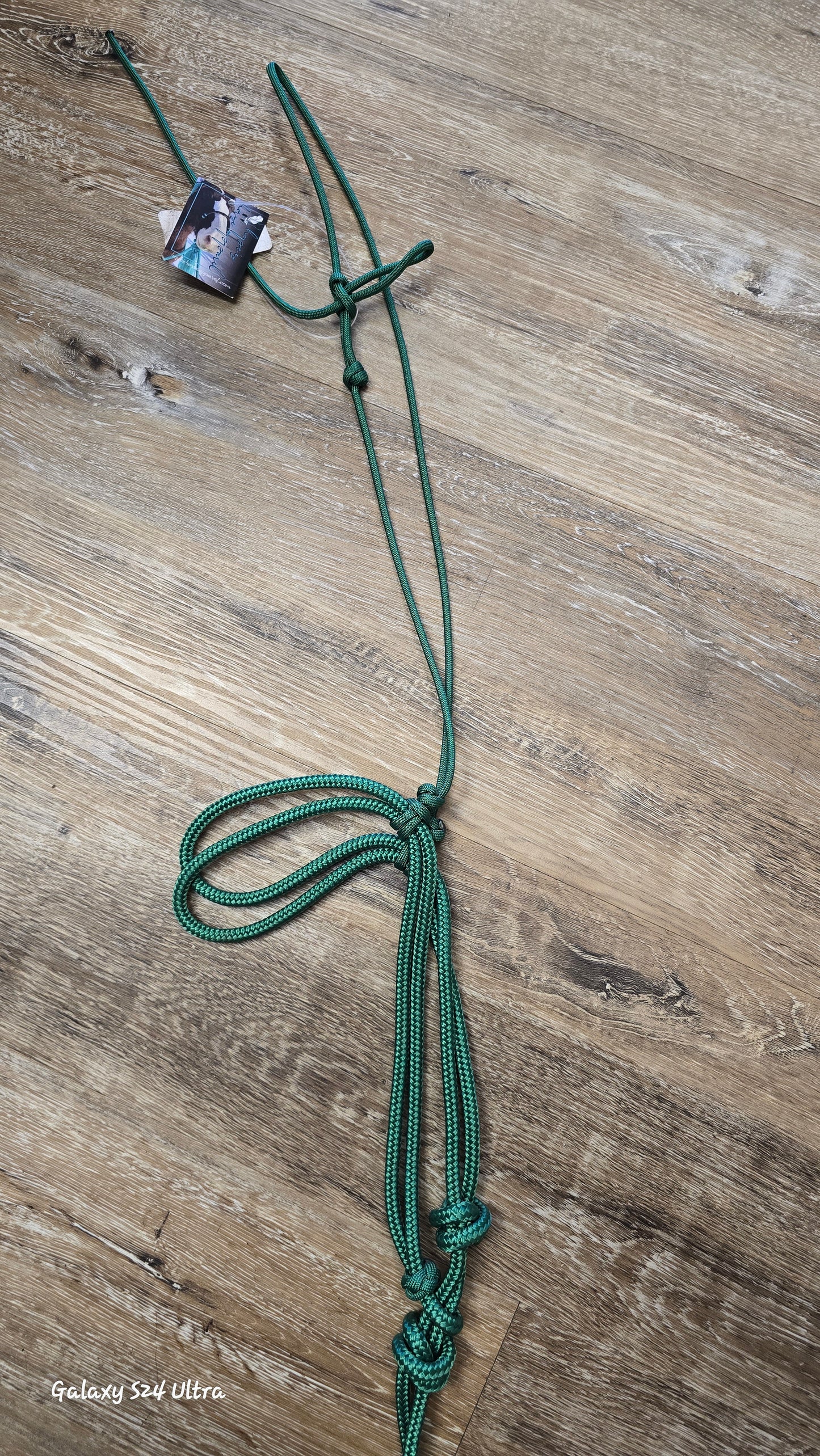 Adjustable Cavesson