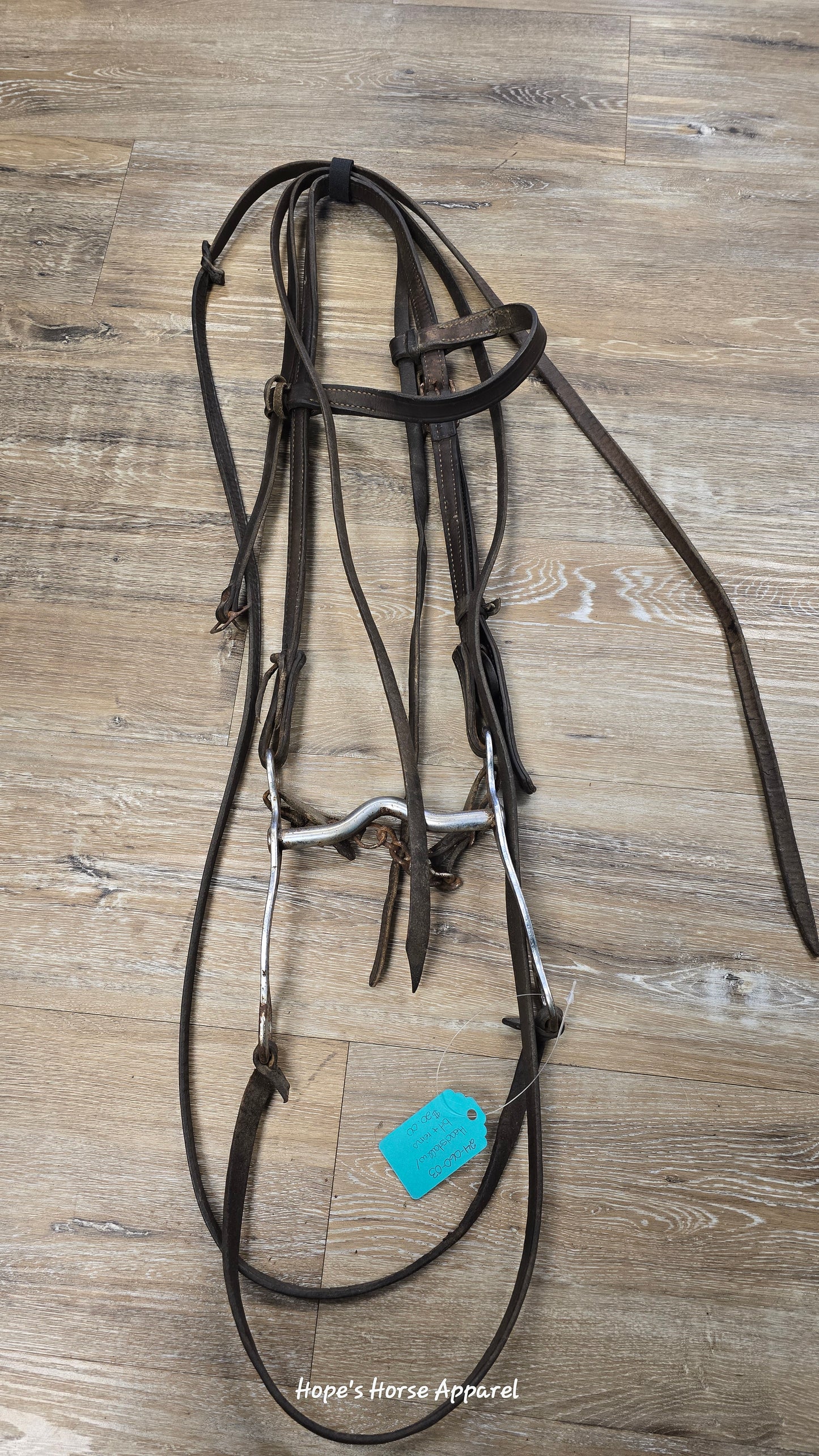 Western Headstall with Curb and Reins