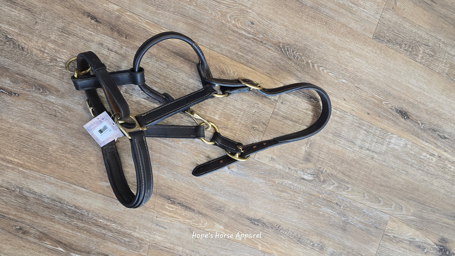 Fancy Stitched Padded Leather Halter
