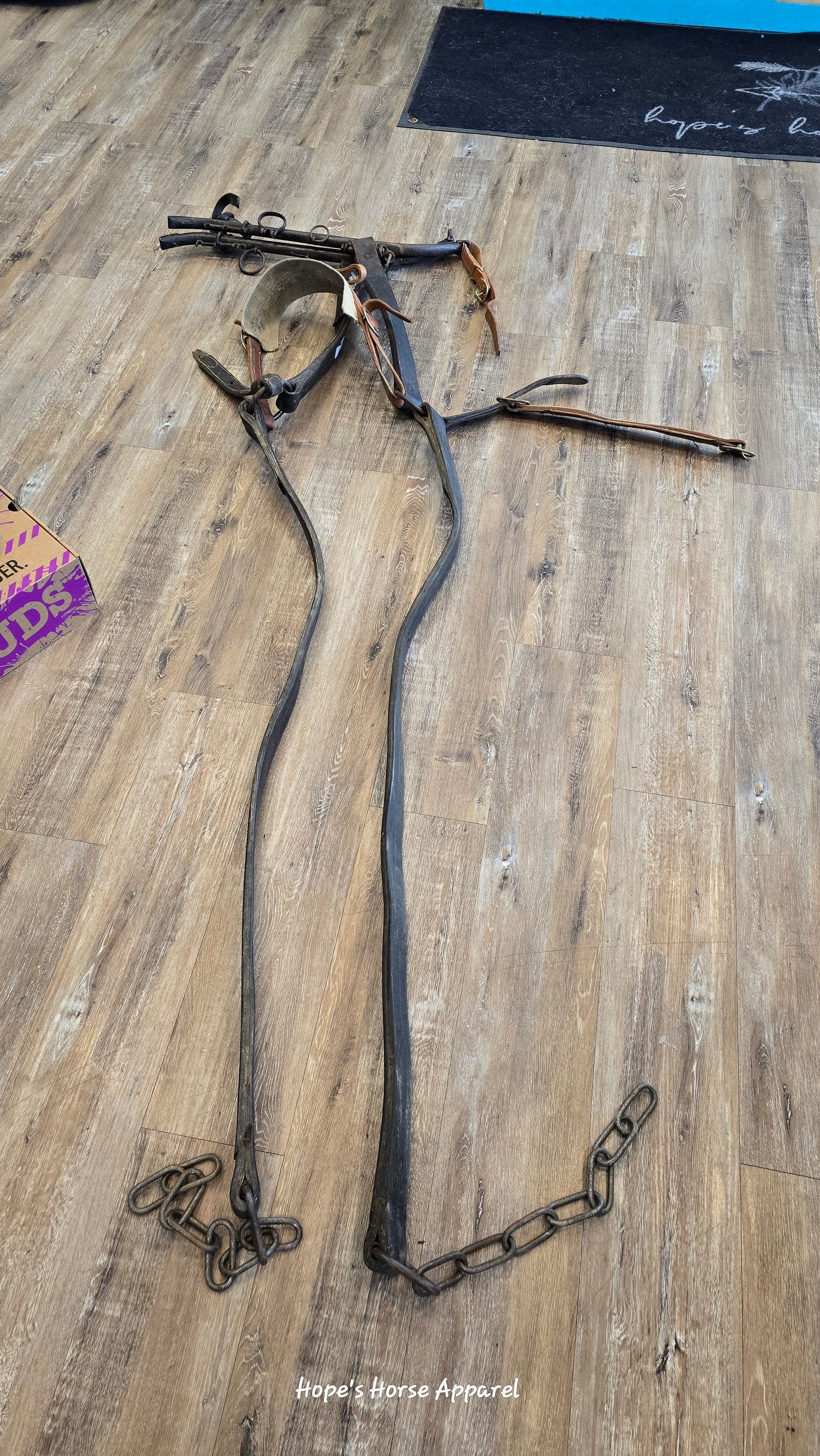 Working Harness with Hames