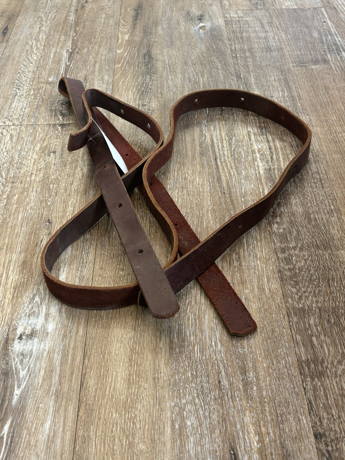 Pony Latigos