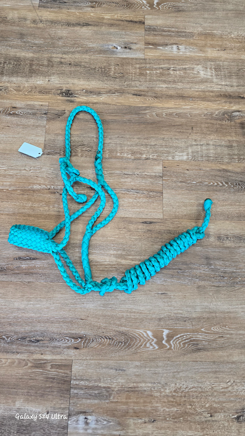 Muletape halter & lead
