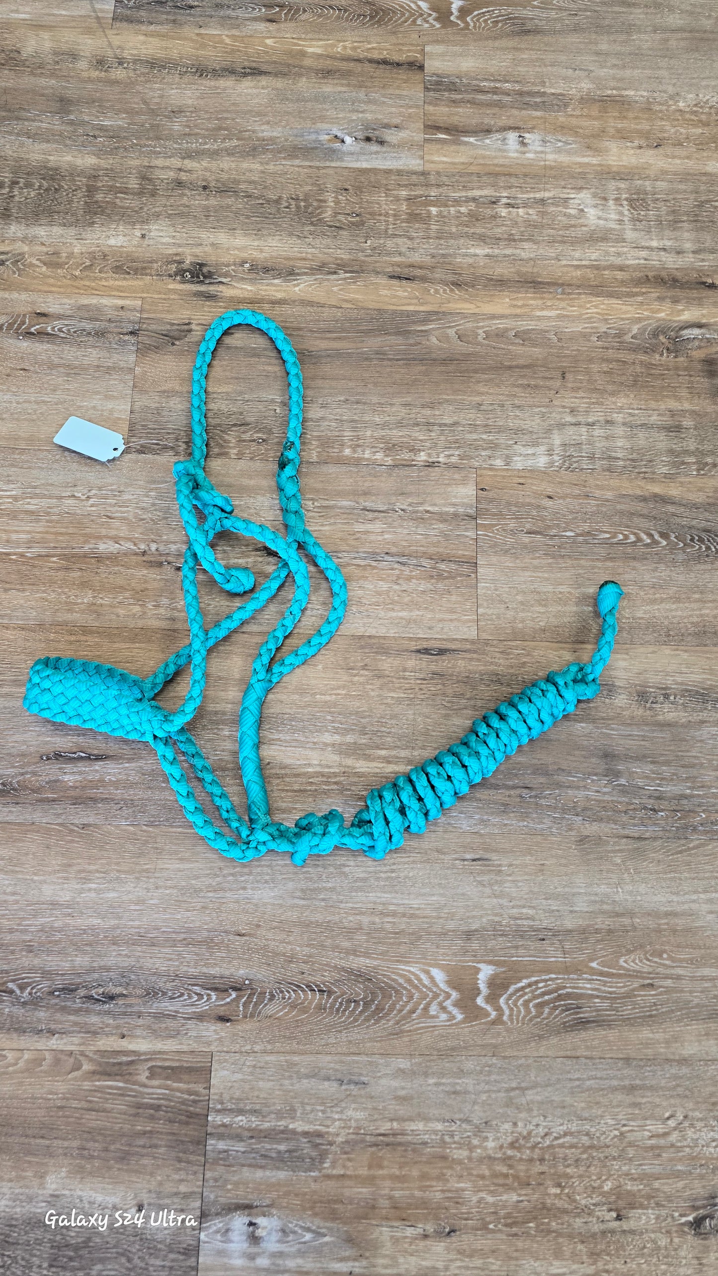 Muletape halter & lead