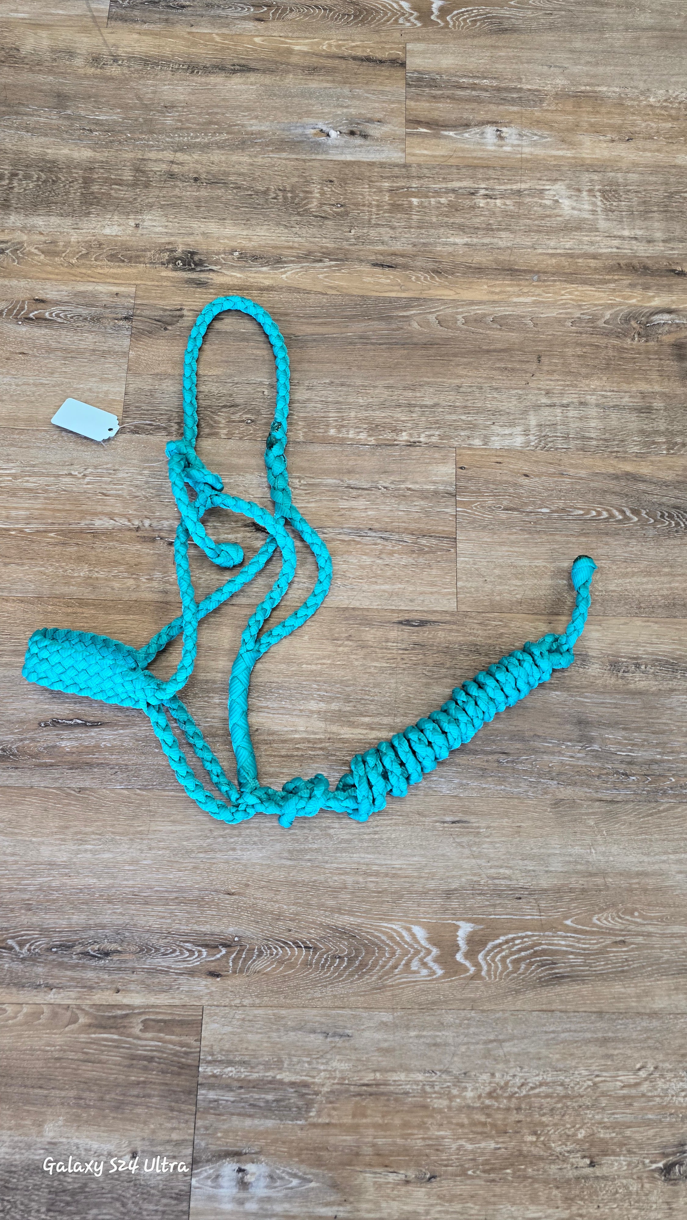 Muletape halter & lead