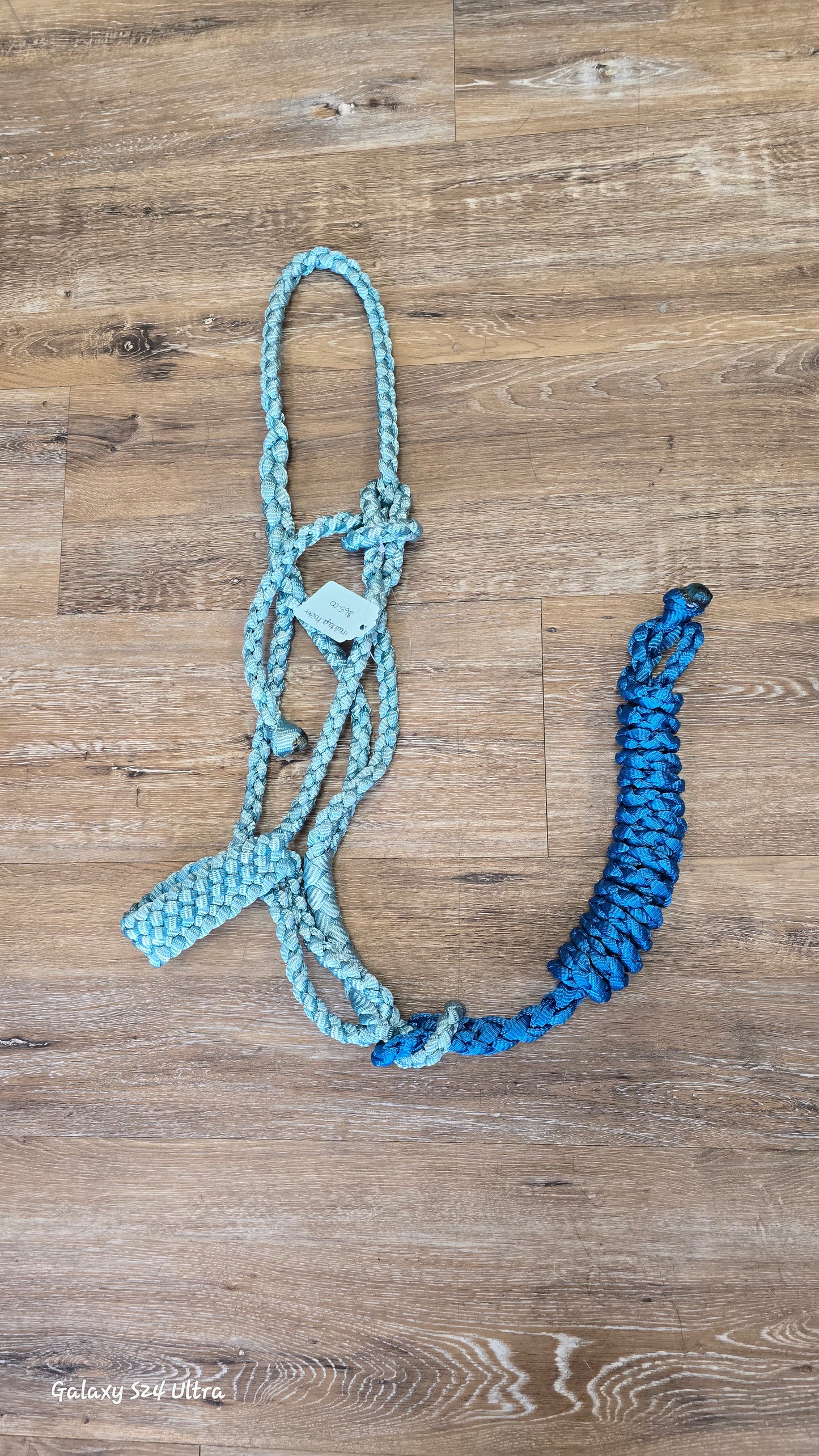 Muletape halter & lead