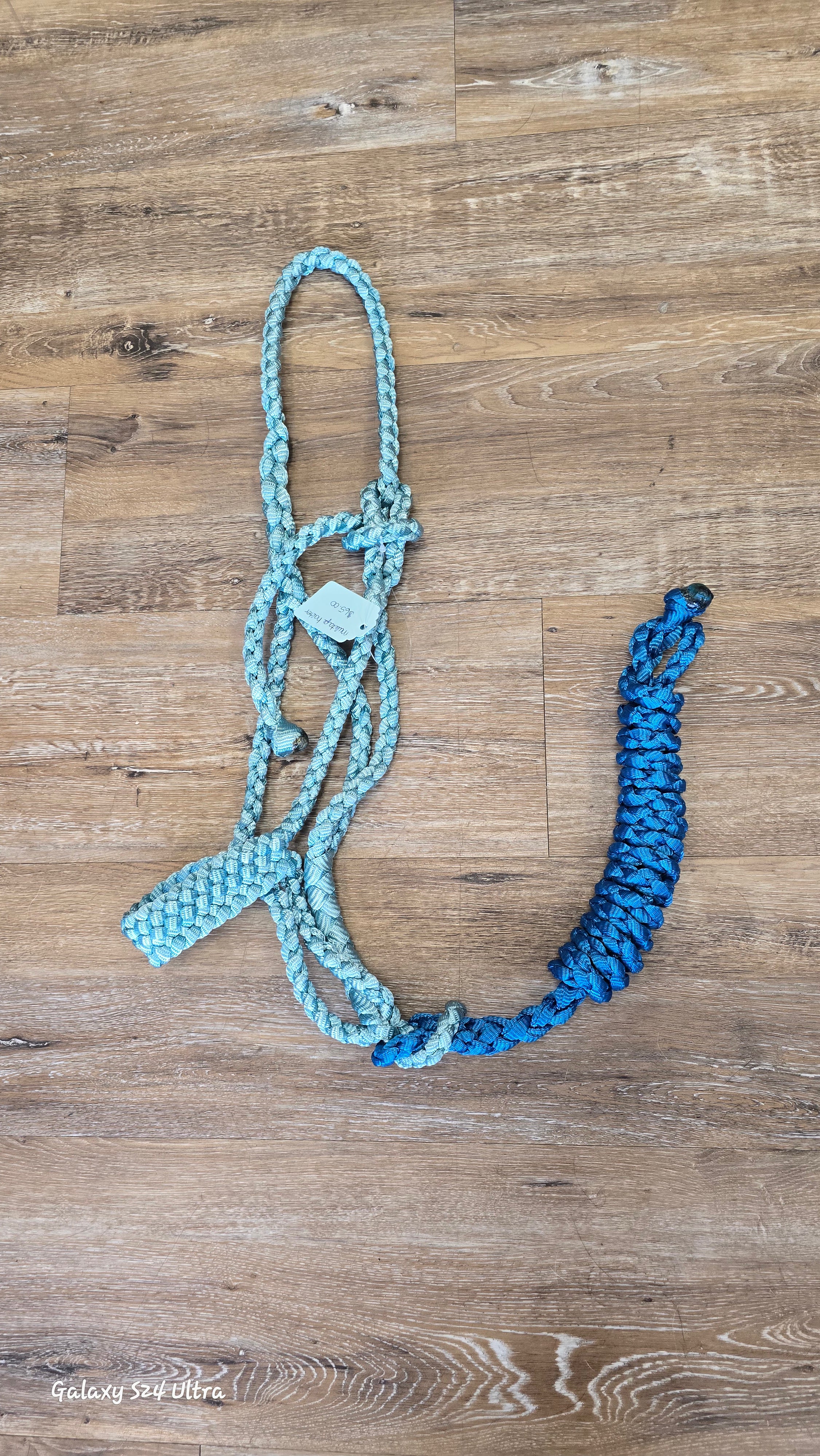 Muletape halter & lead