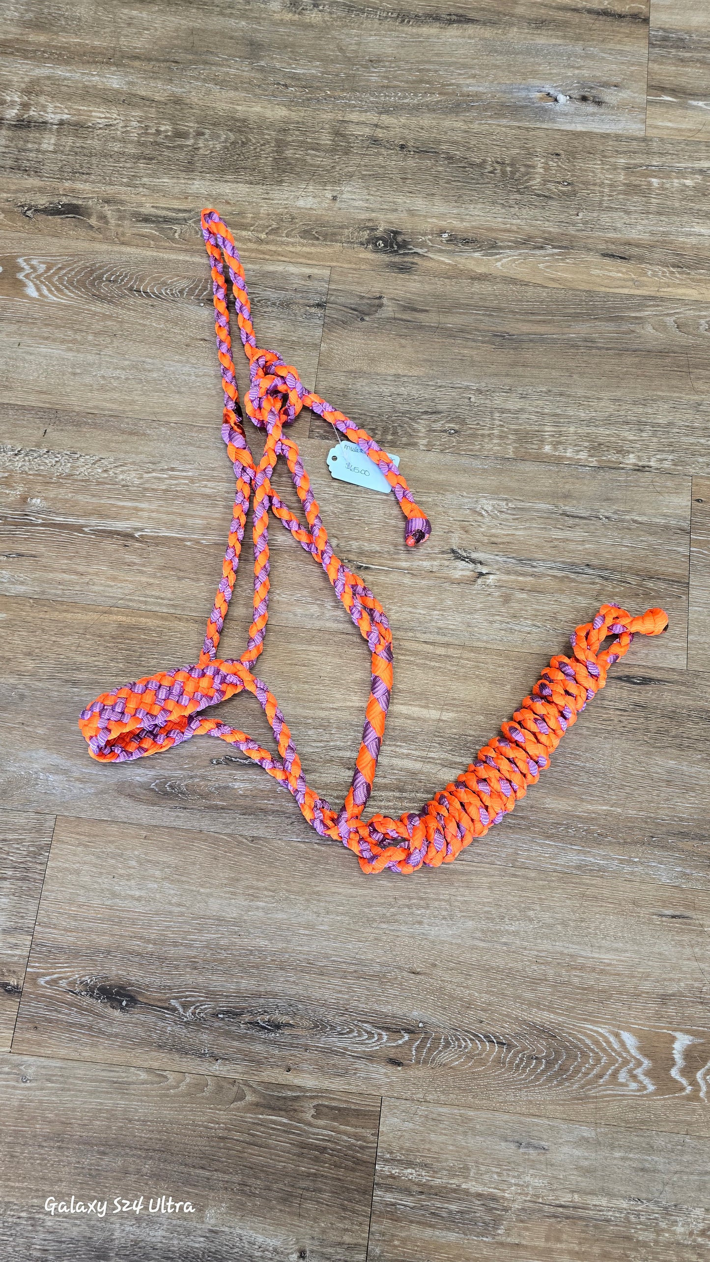Muletape halter & lead