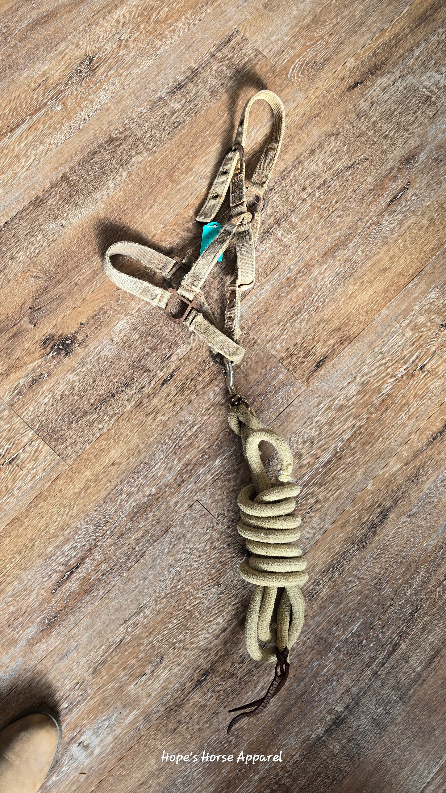 Pony Halter and Lead