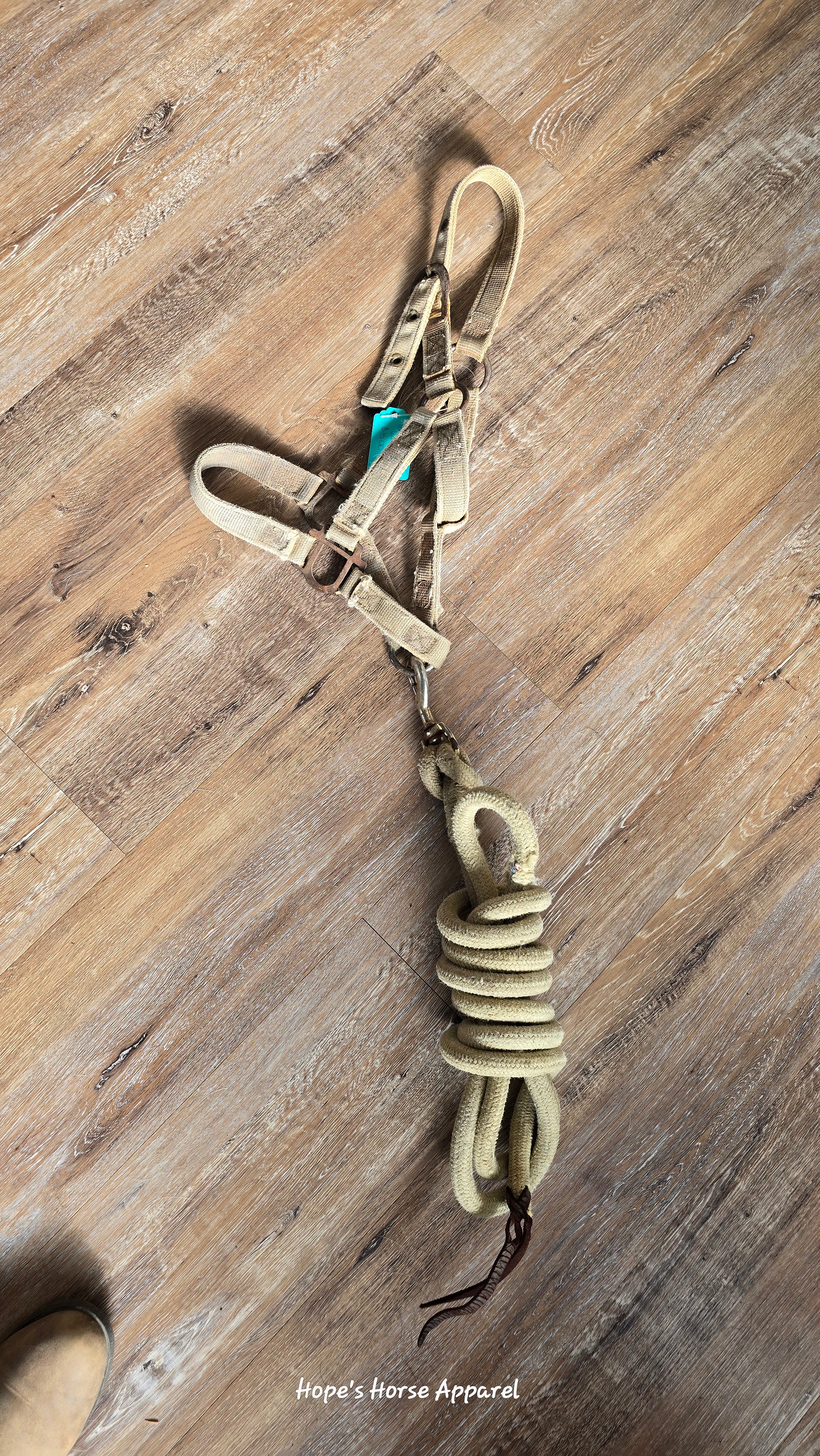 Pony Halter and Lead