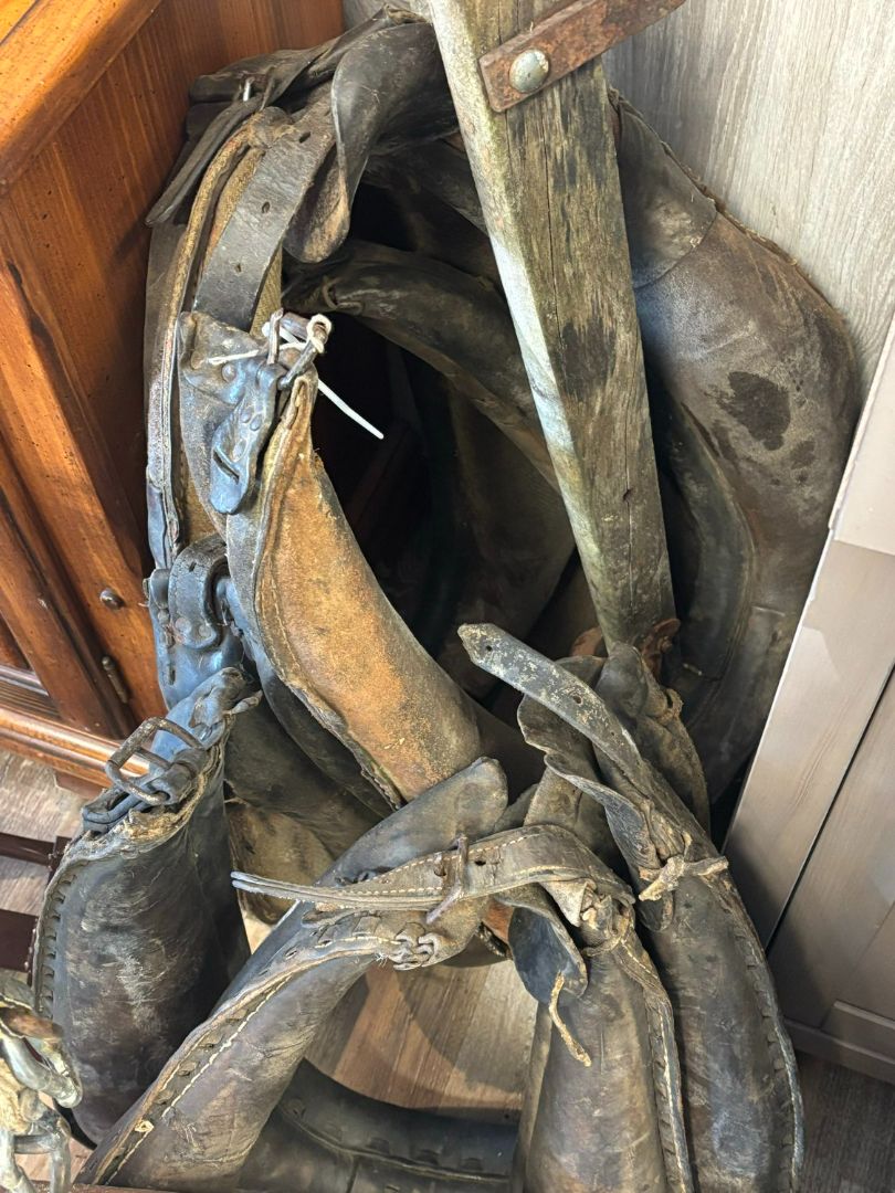 old collars, $25/each