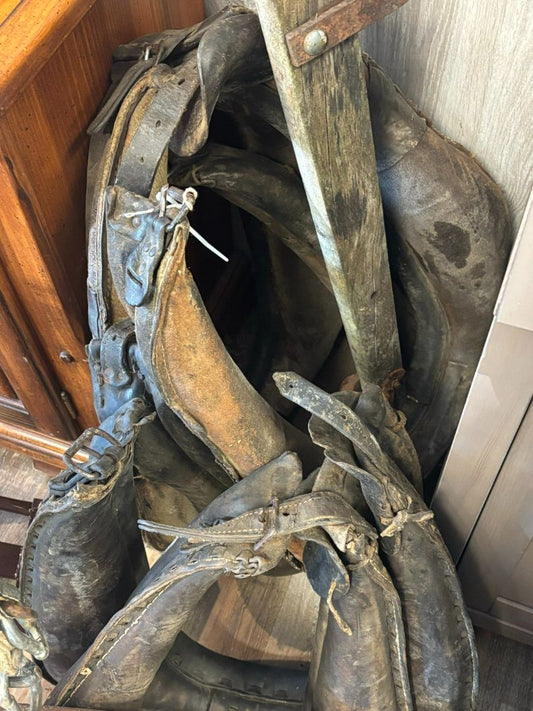old collars, $25/each