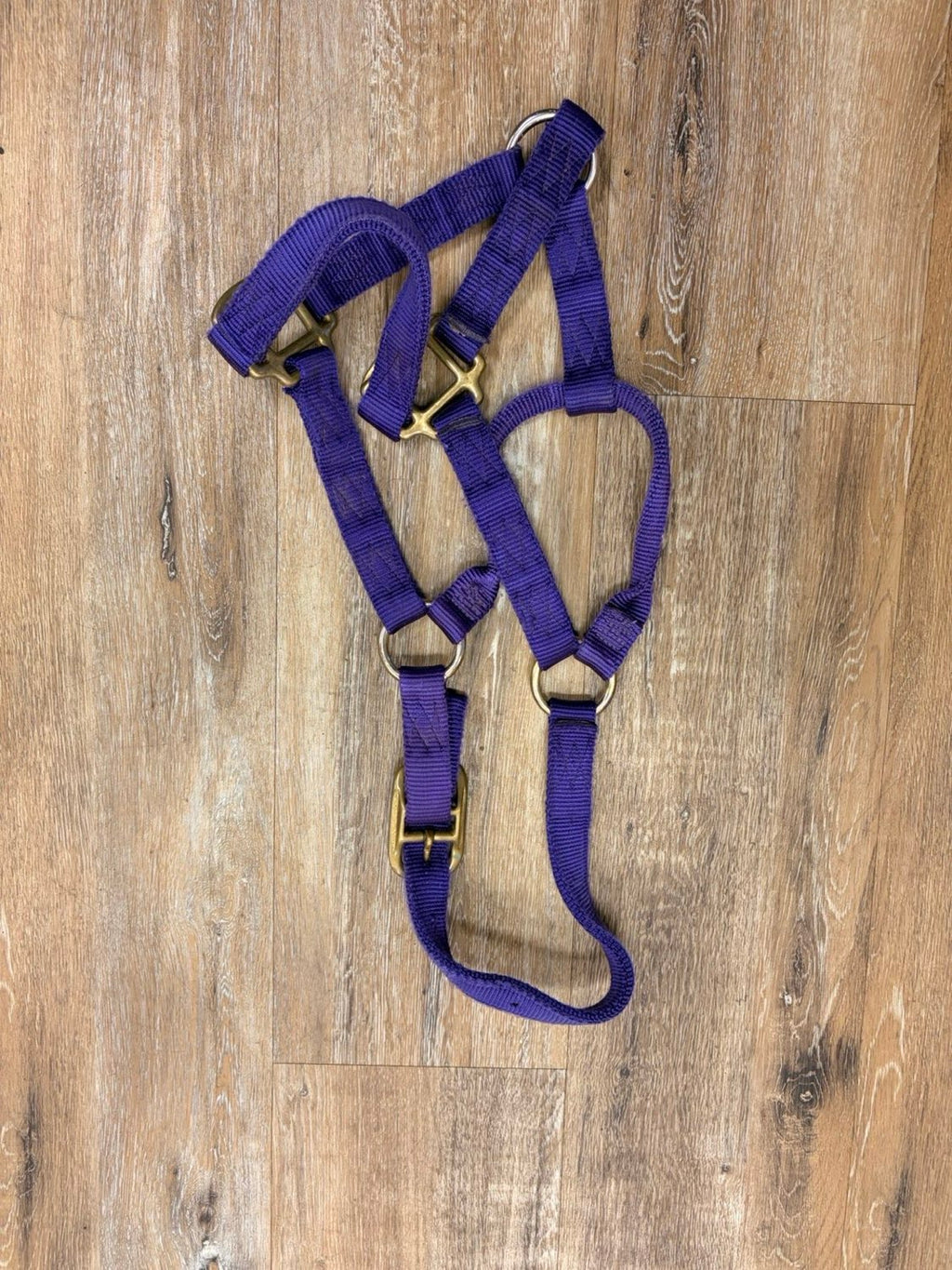 Nylon Halter