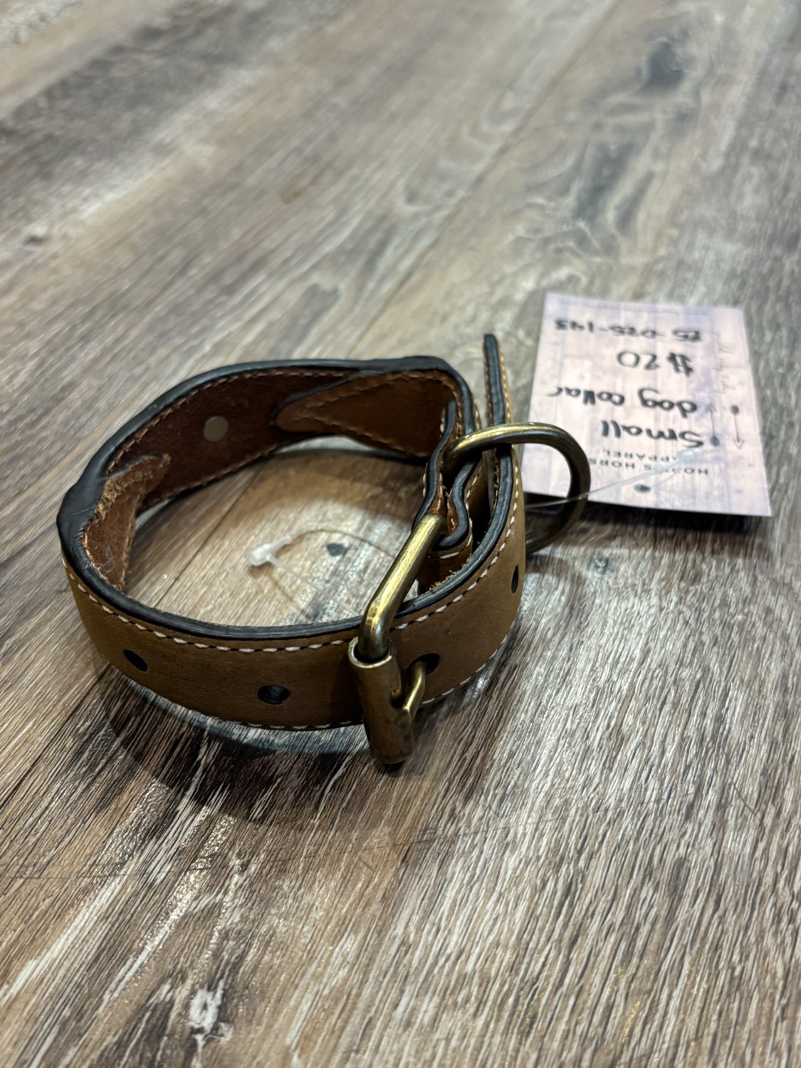 Dog Collar, Small