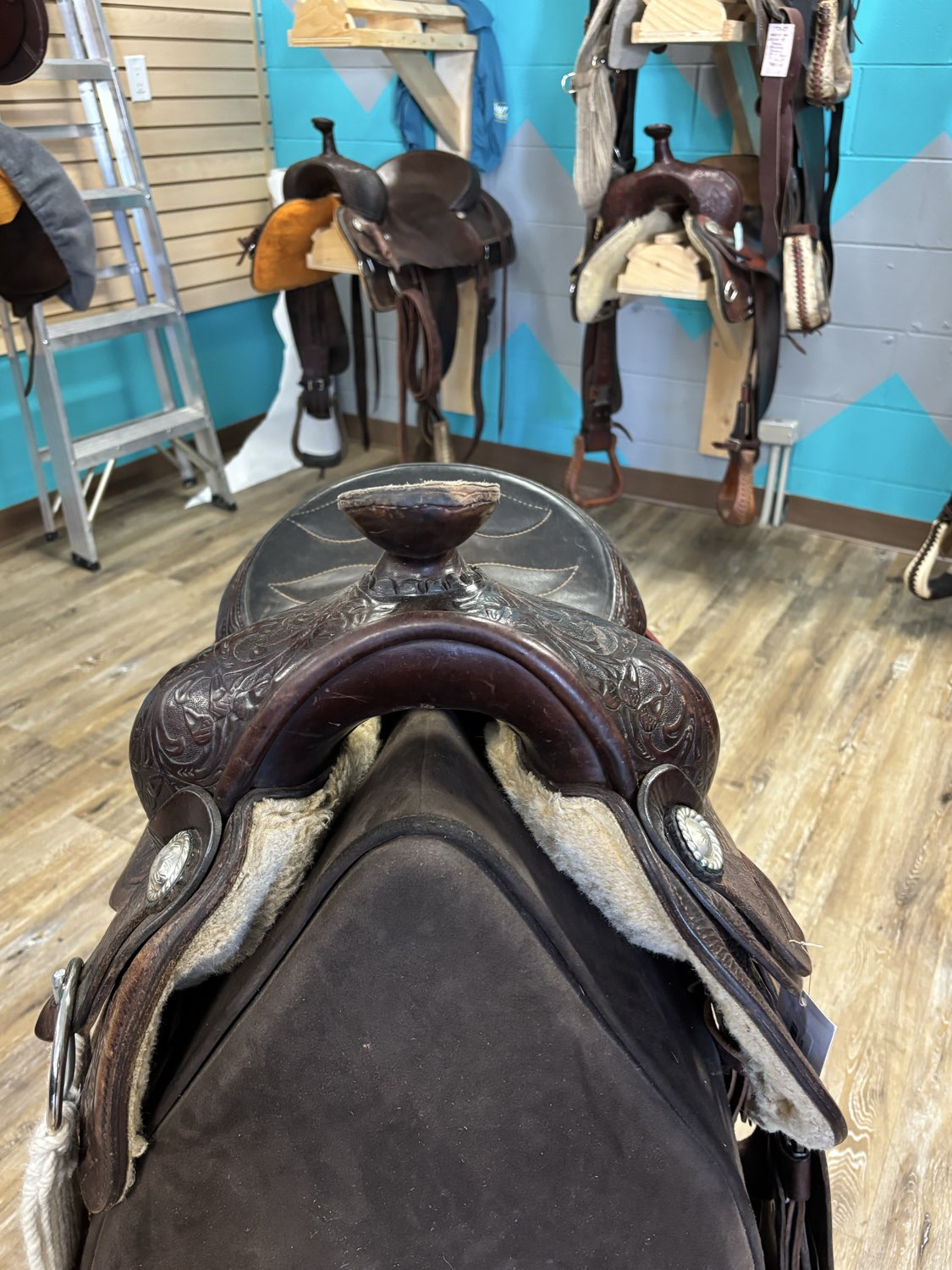 Circle Y western saddle 15" seat, 7.5" Gullett, cover, front cinch, back cinch, brand new custom breast collar included