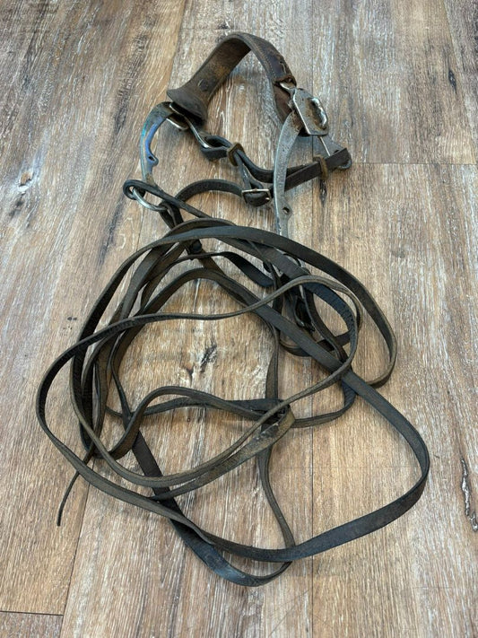 Hackamore with split reins