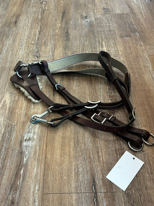 Elastic Breast plate with removable running martingale, Full