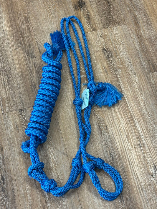 Brand new nylon halter and lead