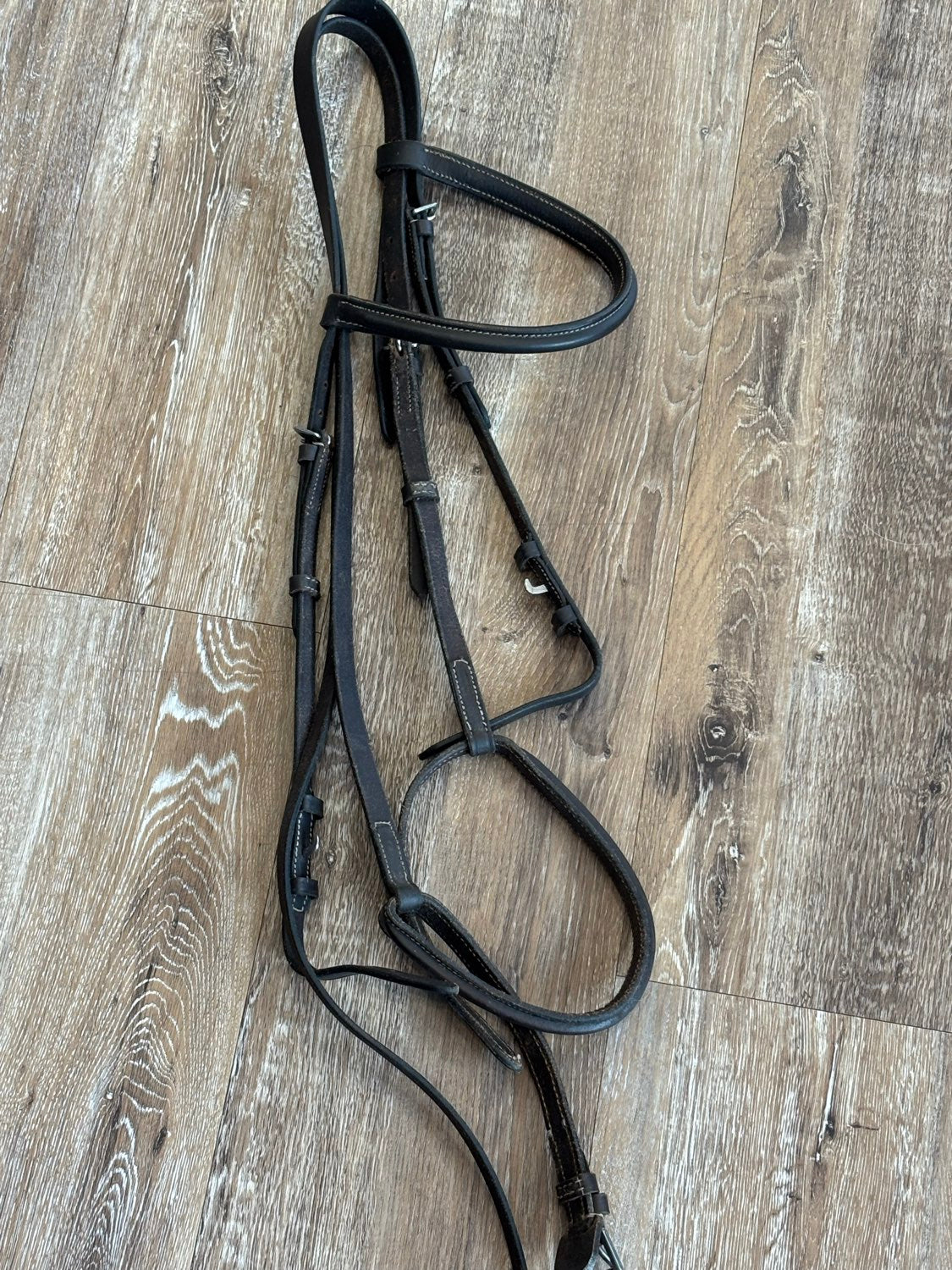 English Bridle