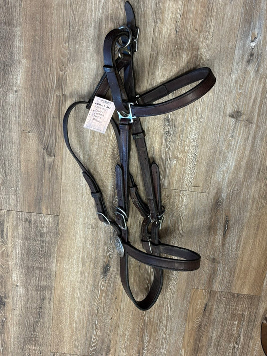 Leather Halter, Draft