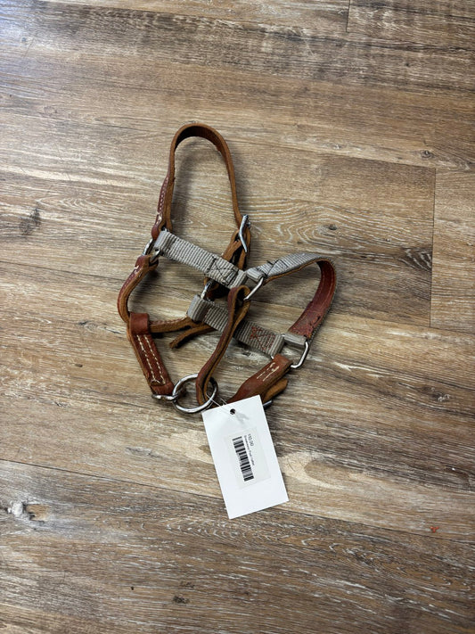 Breakaway Foal Halter