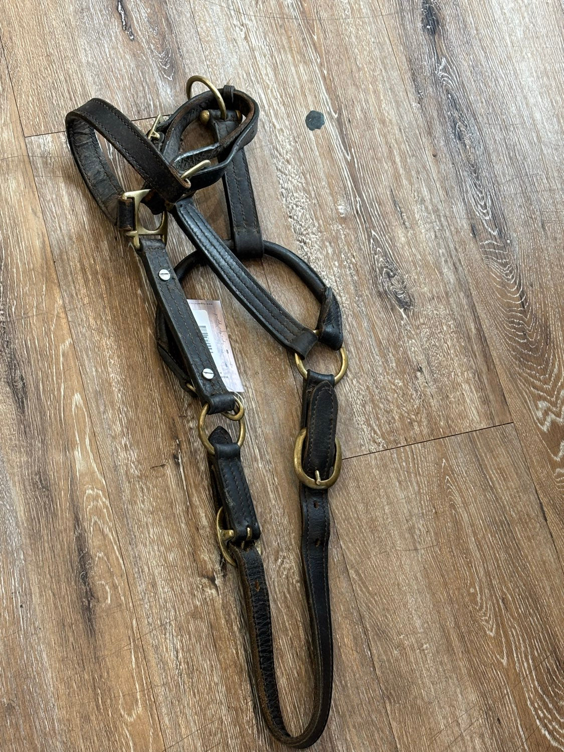 Leather Halter
