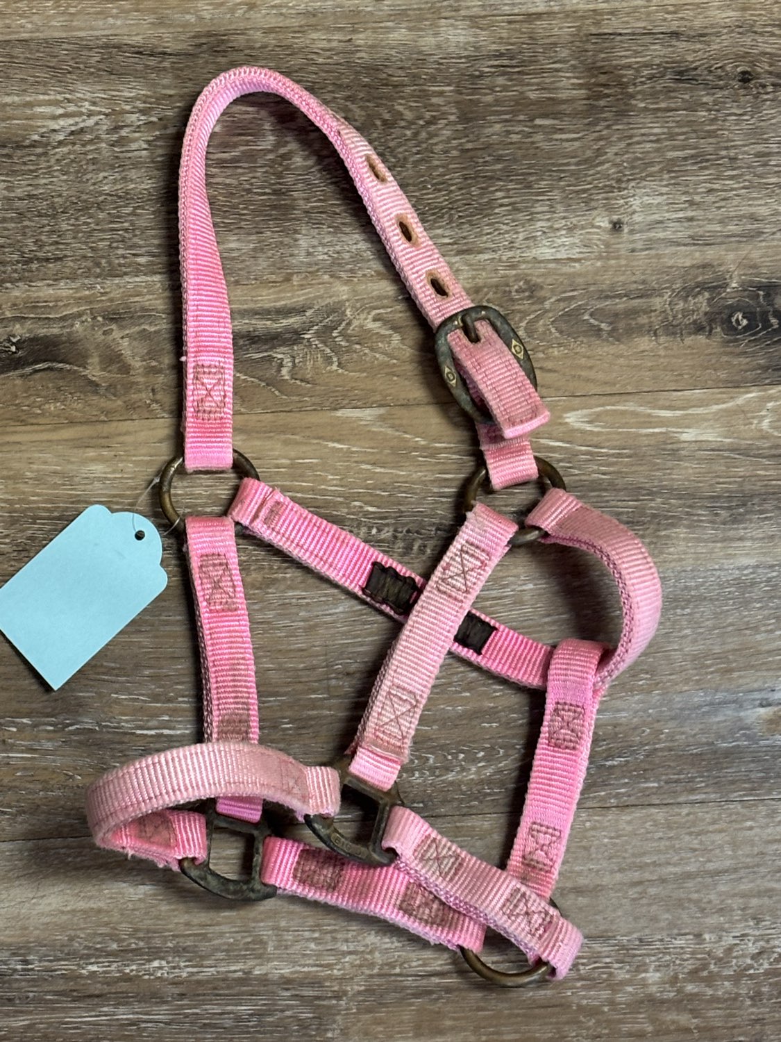 Yearling halter