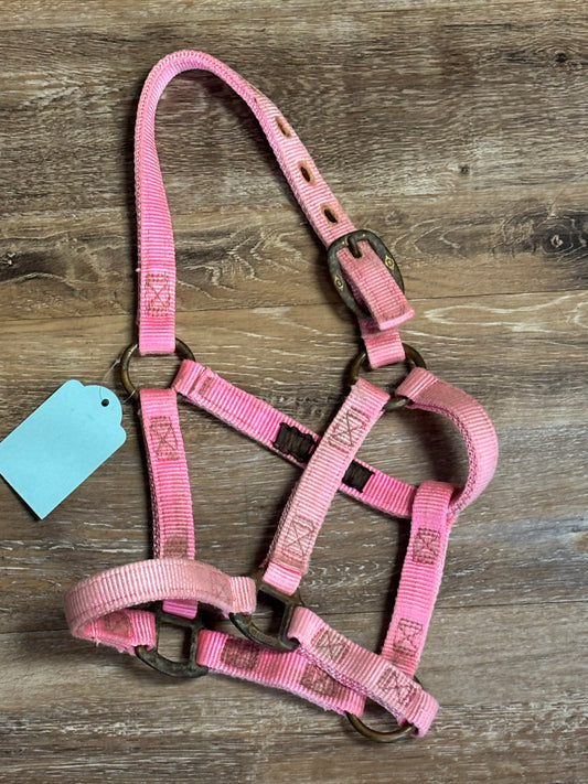 Yearling halter