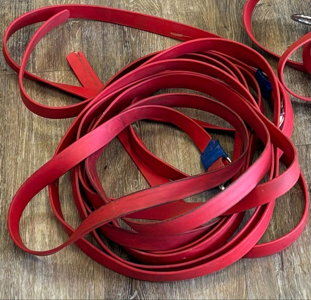 Biothane Driving reins