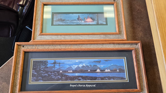Framed picture set