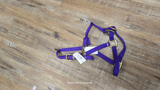 Halter, Pony