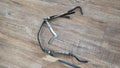 Western Show Bridle