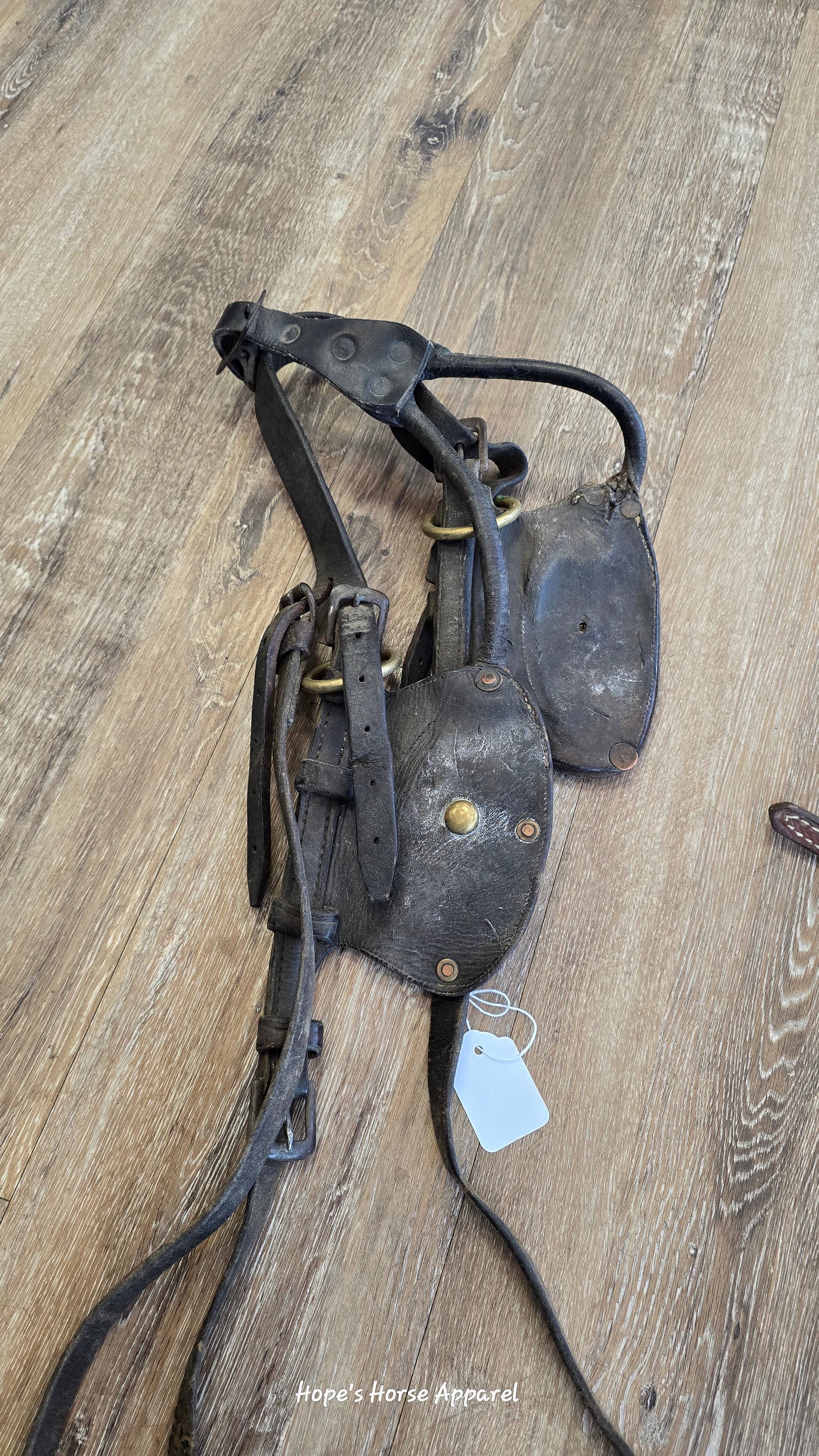 Driving Headstall