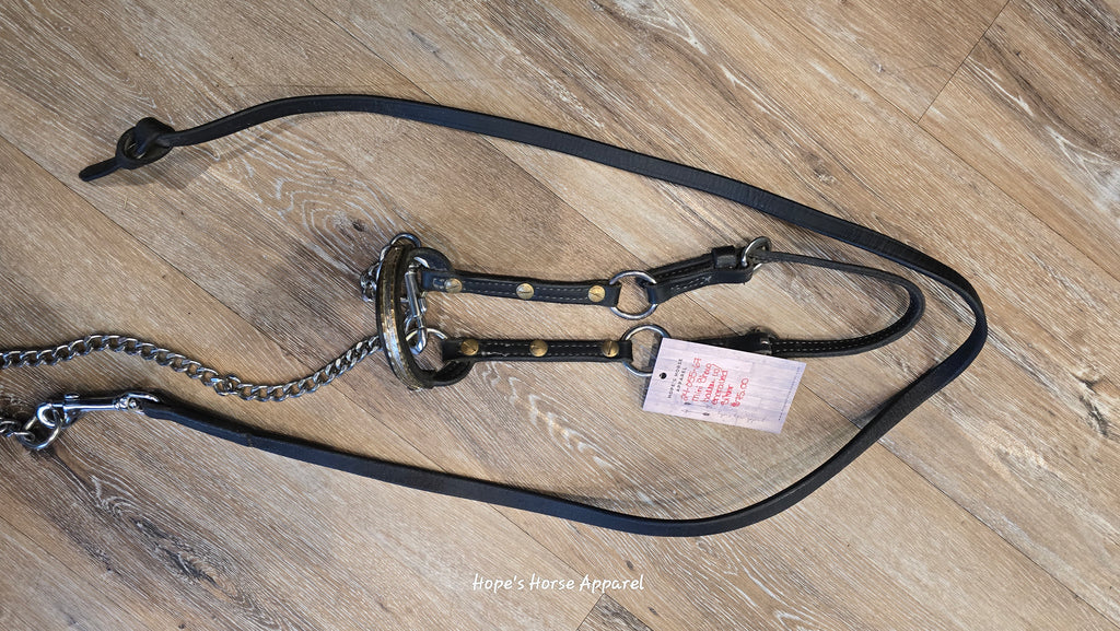 Mini Show Halter with Engraved Silver