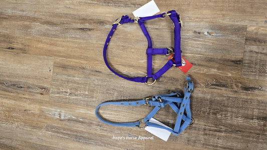 Halter, Foal