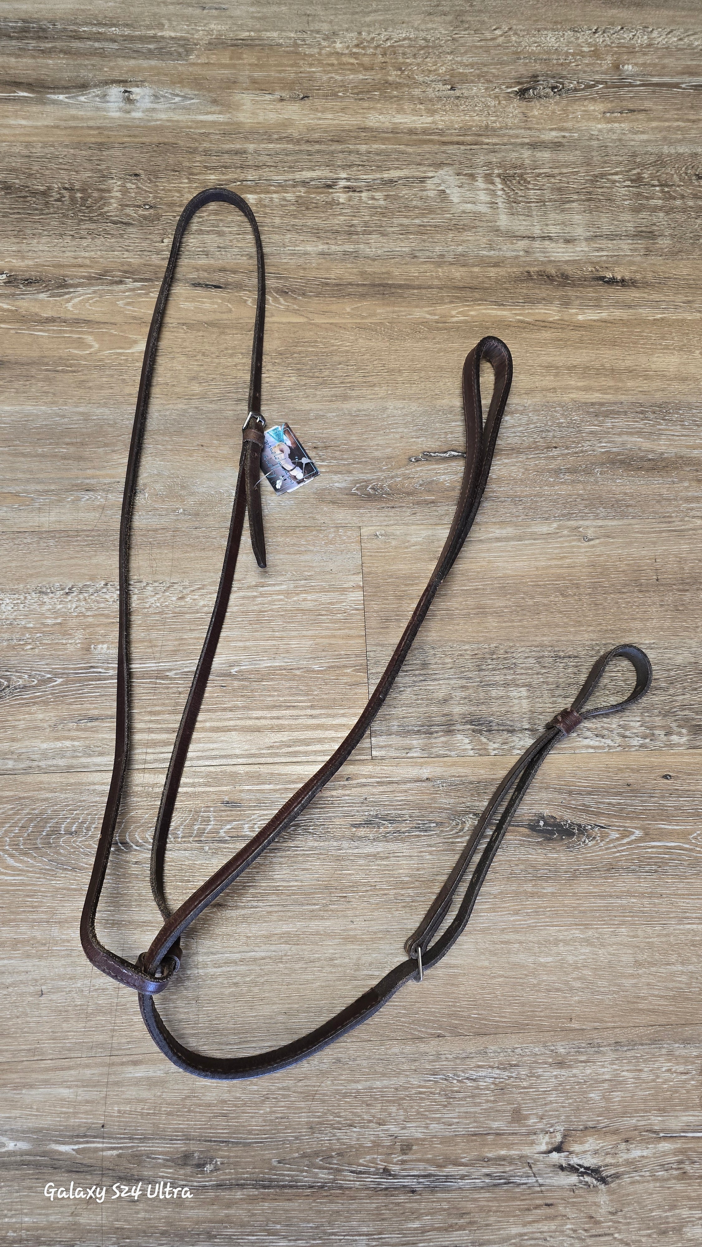 Standing Martingale
