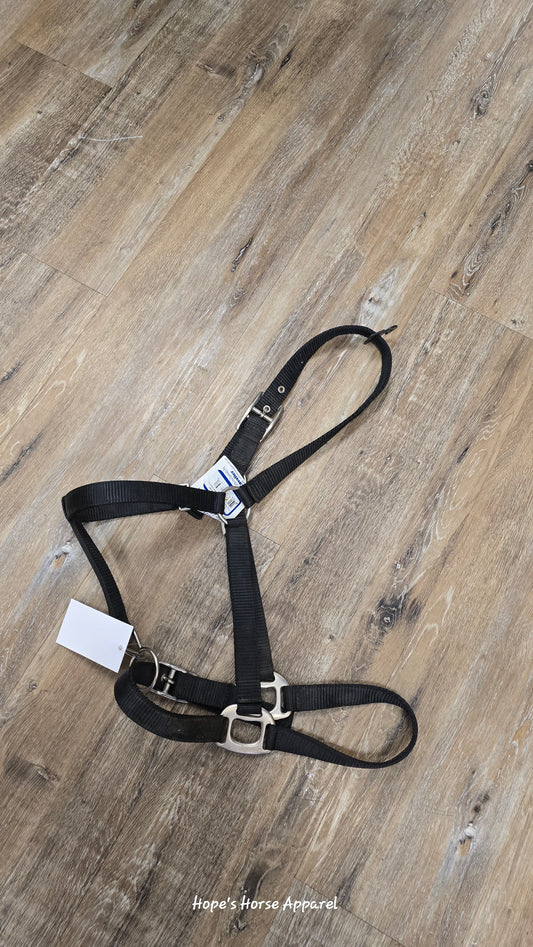 Halter, WB