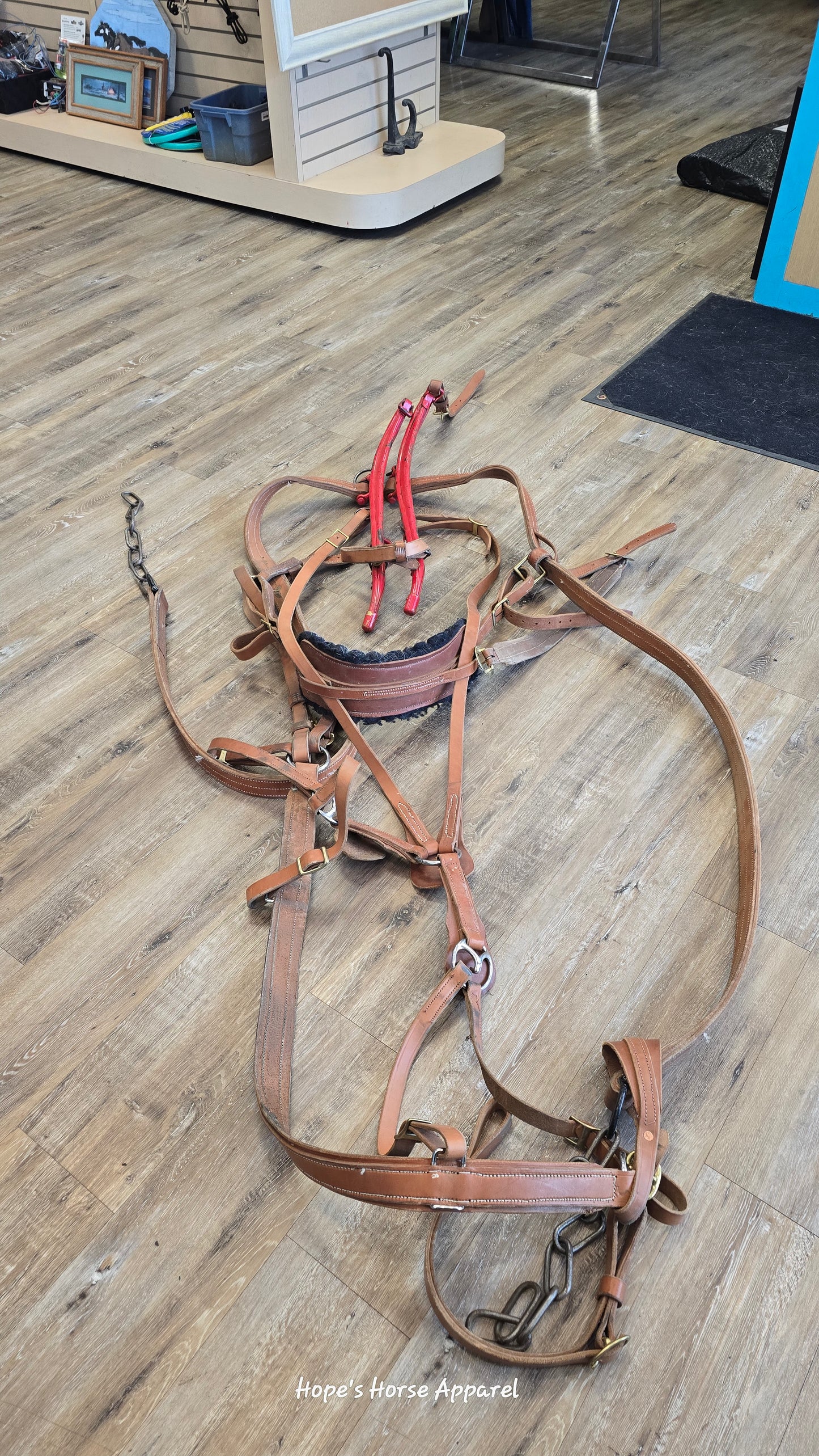 Team Harness