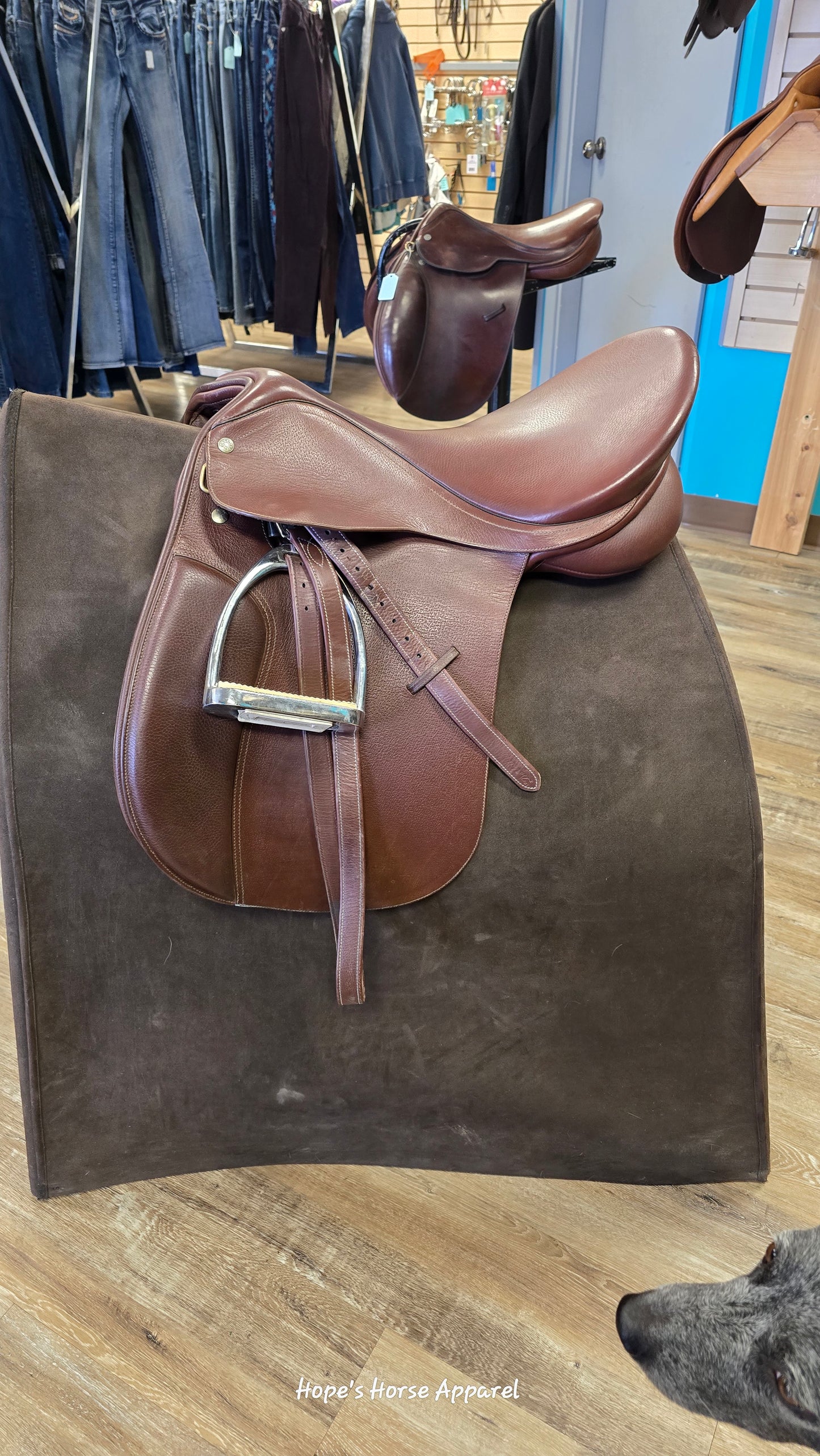 Collegiate Convertible AP Saddle