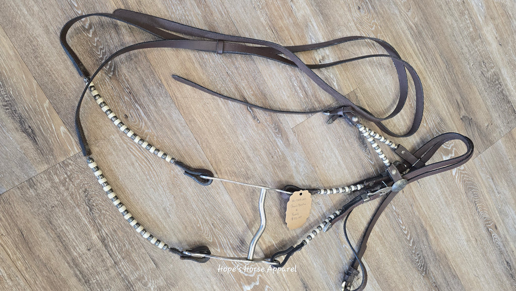 Show Bridle & Reins