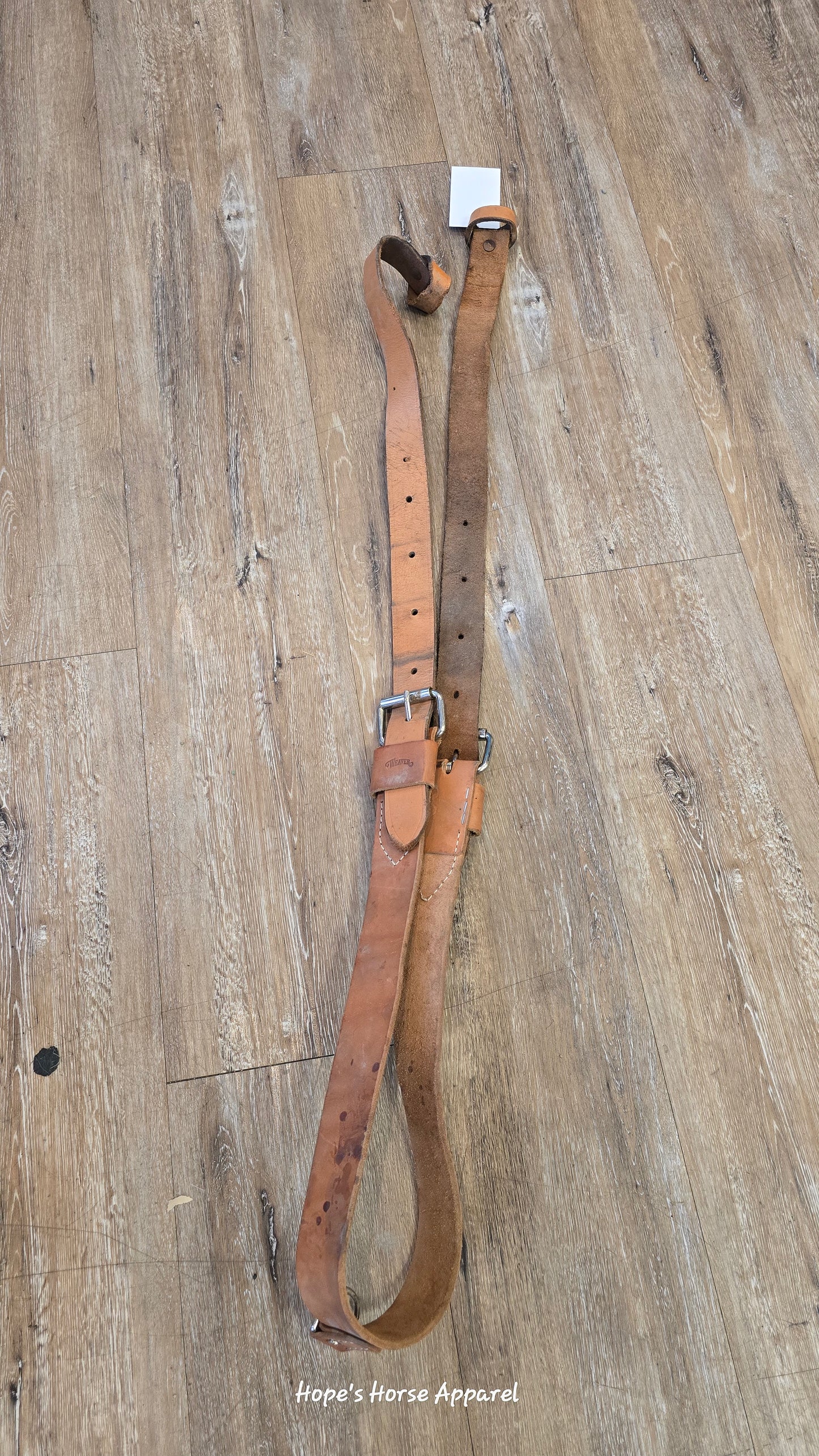 Back Cinch with Billets