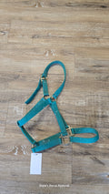 Halter, Pony