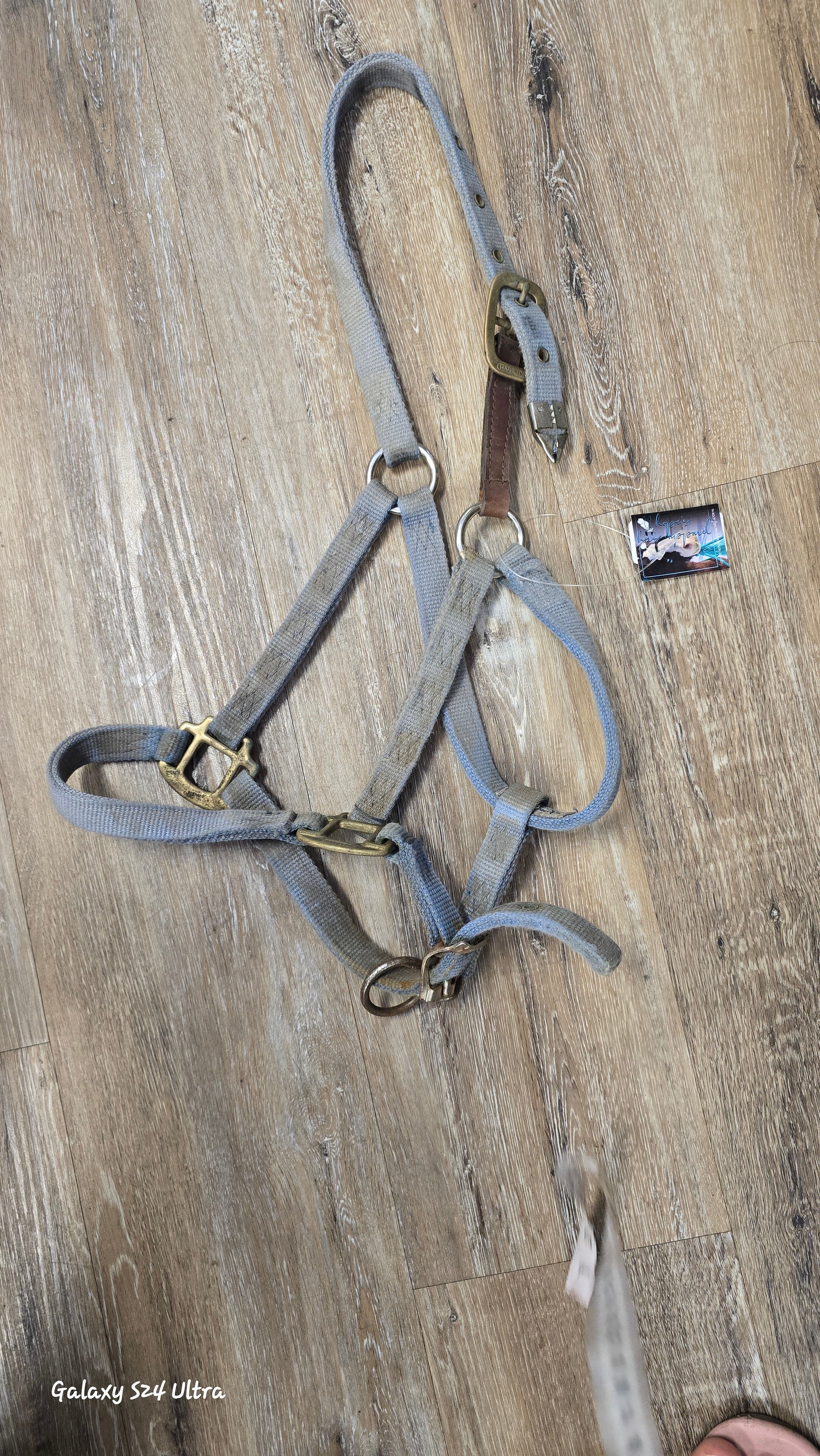 Nylon Halter