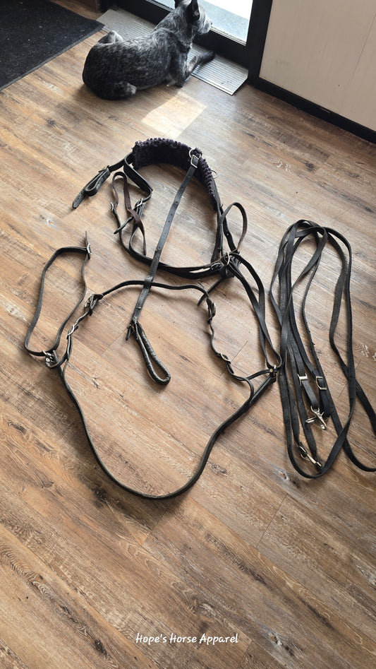 Light Horse Harness