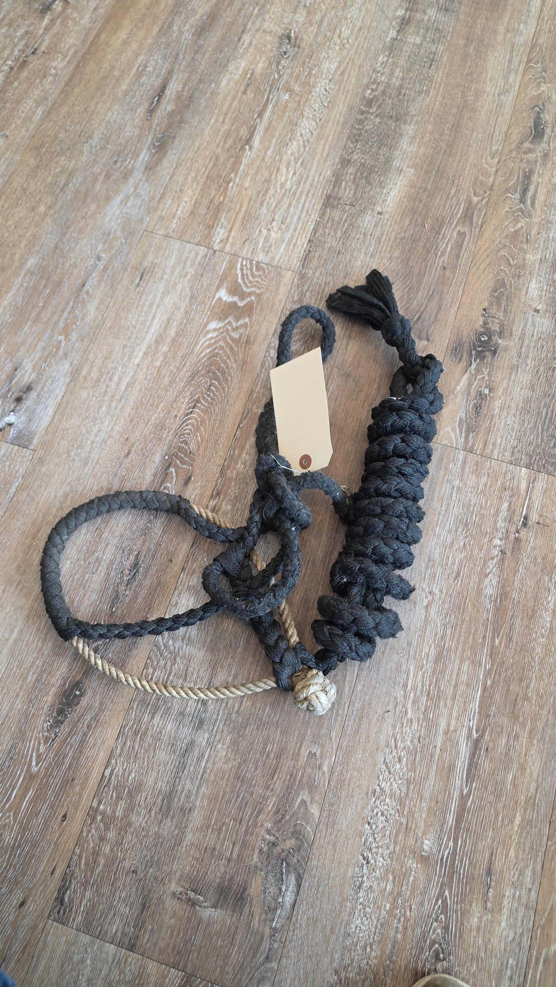 Lariat Muletape Halter, Pony